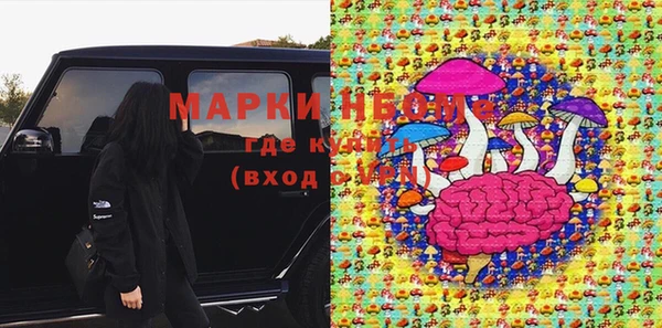 гидра Ельня