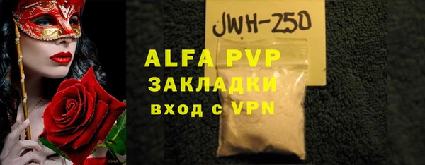 гидра Ельня