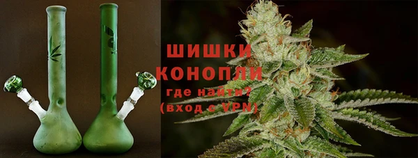 гидра Ельня