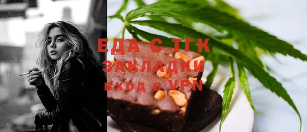 гидра Ельня