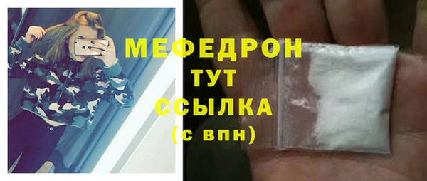 гидра Ельня