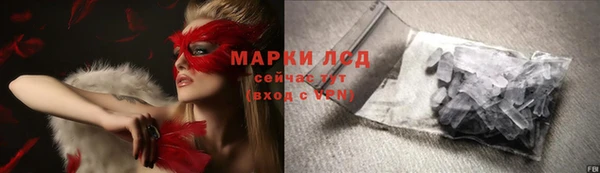 гидра Ельня