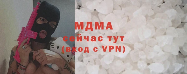 гидра Ельня