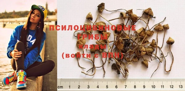 экстази Елизово