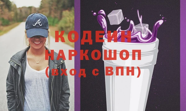 гидра Ельня