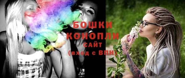 гидра Ельня