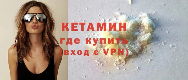 гидра Ельня