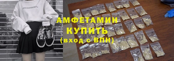 гидра Ельня