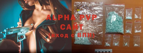 гидра Ельня