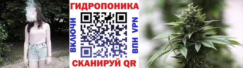 Шишки марихуана гибрид  Купить закладки  Белый 